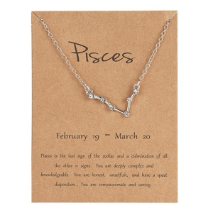 Sterrenbeeld ketting vissen