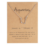 Sterrenbeeld ketting waterman
