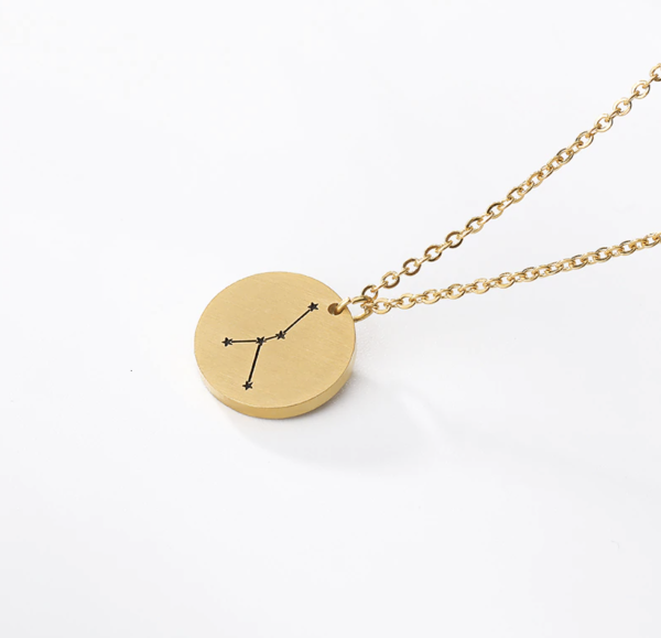 Munt ketting sterrenbeeld Kreeft