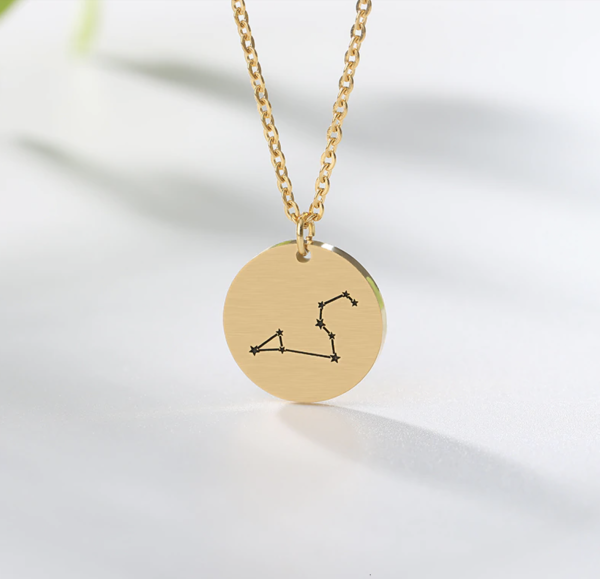 Munt ketting sterrenbeeld Leeuw - Afbeelding 3