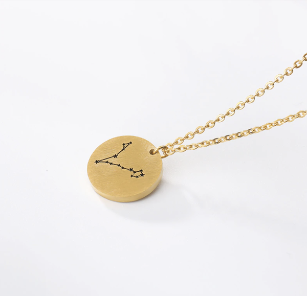 Munt ketting sterrenbeeld Vissen