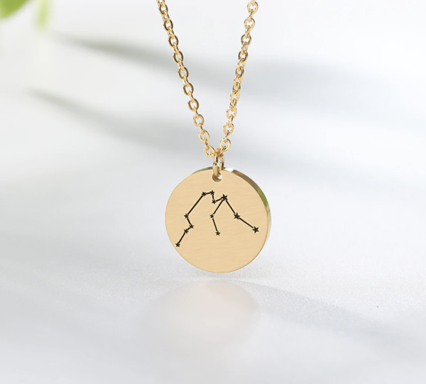 Munt ketting sterrenbeeld Waterman - Afbeelding 3