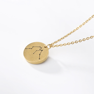 Munt ketting sterrenbeeld Waterman