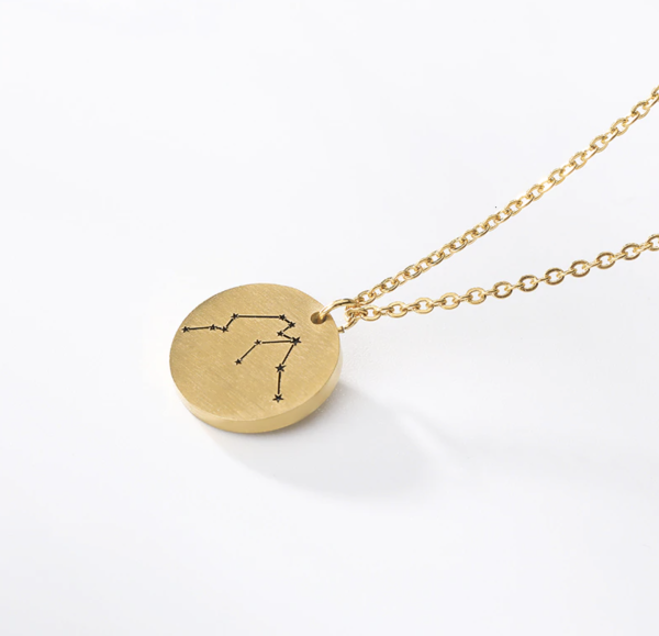 Munt ketting sterrenbeeld Waterman