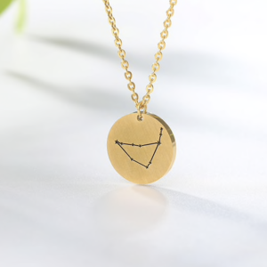 Munt ketting sterrenbeeld Steenbok